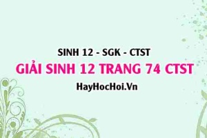 Giải Sinh 12 trang 74 Chân trời sáng tạo SGK
